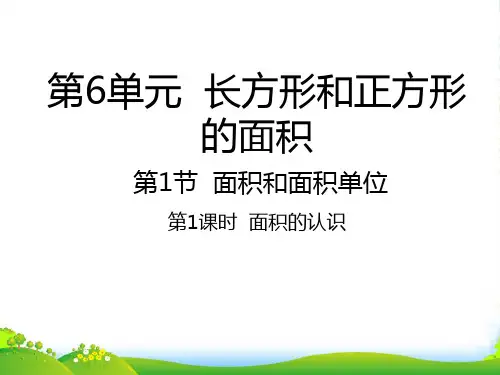 苏教版三年级下册数学课件6.1 面积的认识 (共19张PPT)