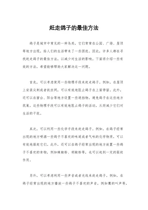 赶走鸽子的最佳方法