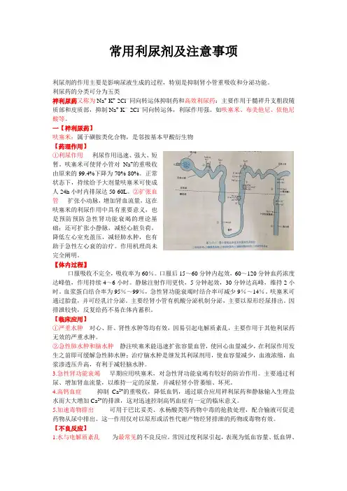 常用利尿剂及注意事项