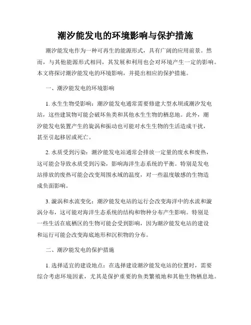潮汐能发电的环境影响与保护措施