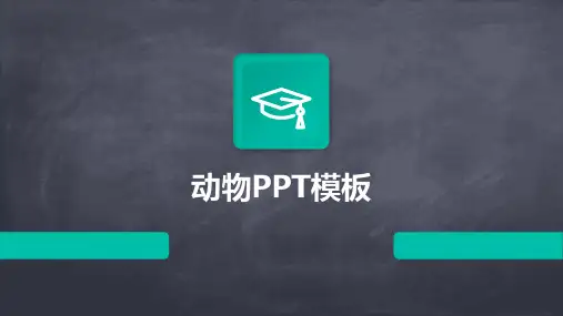动物PPT模板