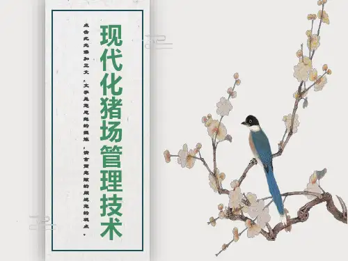 现代化猪场管理技术