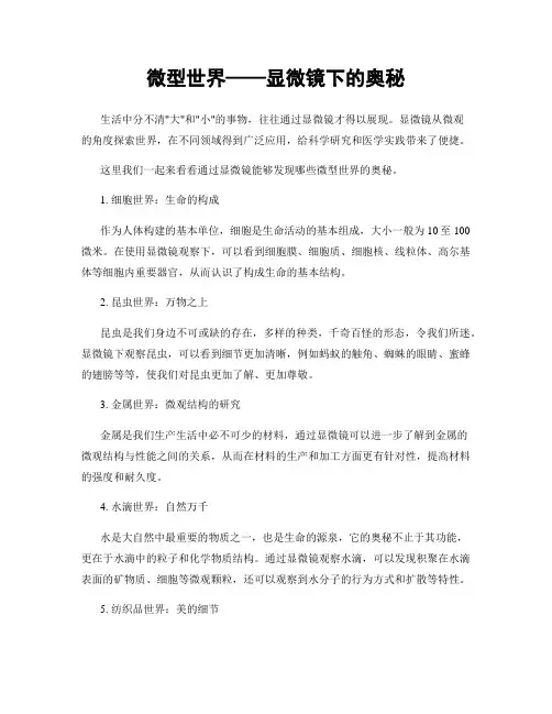 微型世界——显微镜下的奥秘