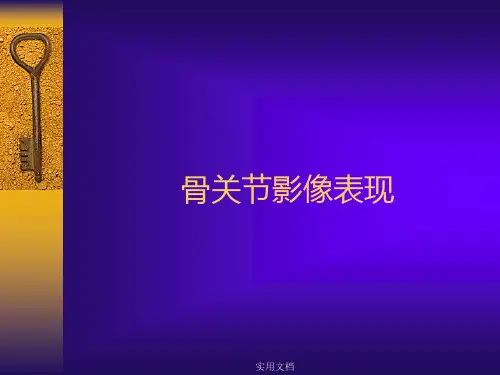 骨关节正常X线解剖