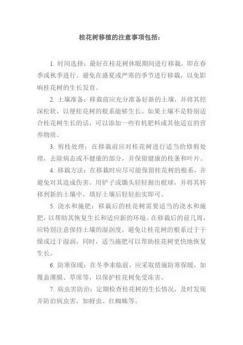 桂花树 移植注意事项