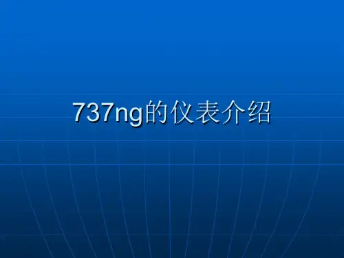 737ng的仪表介绍