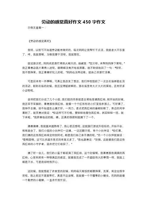 劳动的感觉真好作文450字作文