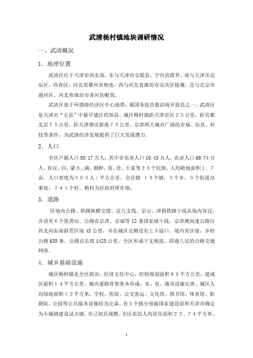 【精品】(最新)武清杨村镇泉旺路地块调研报告