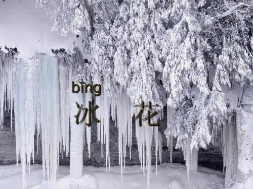 苏教版一年级语文上册《冰花_3》PPT课件