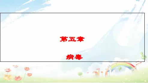 人教版初中八年级生物上册病毒ppt课件