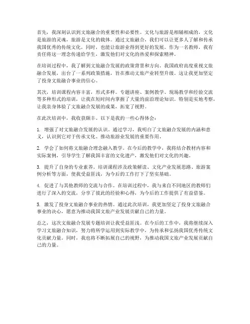 教师文旅融合心得体会