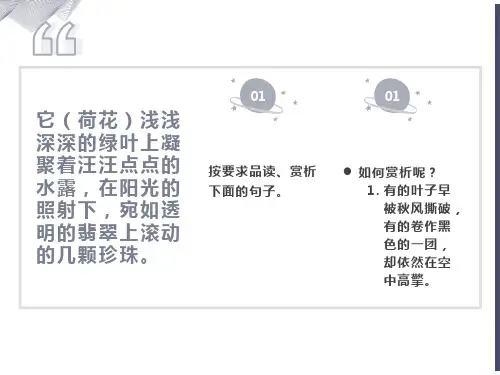 中考语文-语句赏析答题技巧-专项复习
