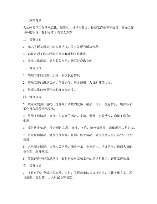 某项工作专项督查方案