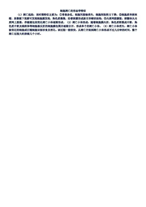 细胞凋亡的形态学特征