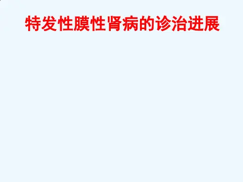 特发性膜性肾病诊治进展