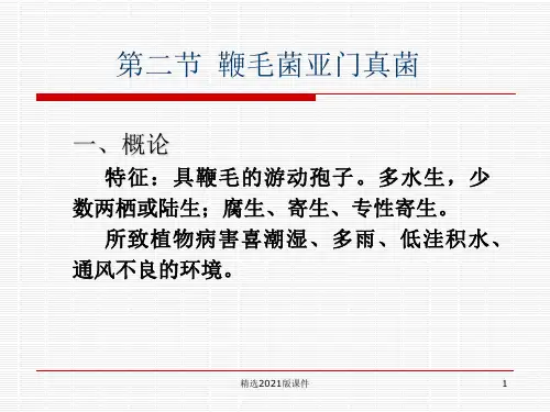 第二章植物病原真菌第二节鞭毛菌亚门