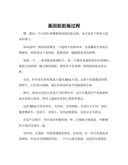 基因组组装过程