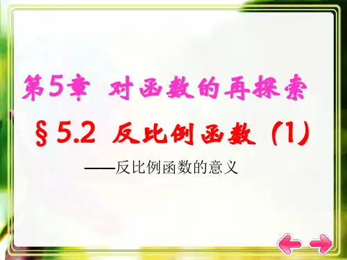 青岛版九年级数学下册第五章《反比例函数》优质公开课课件