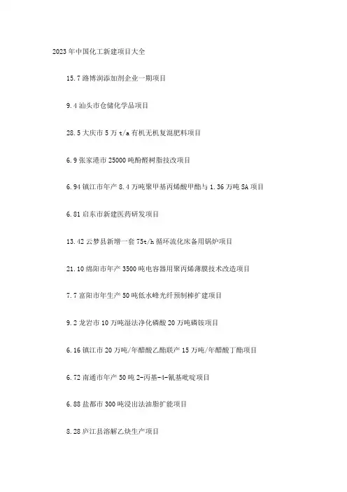 中国化工新建项目大全