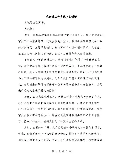 在审计工作会议上的讲话(三篇)