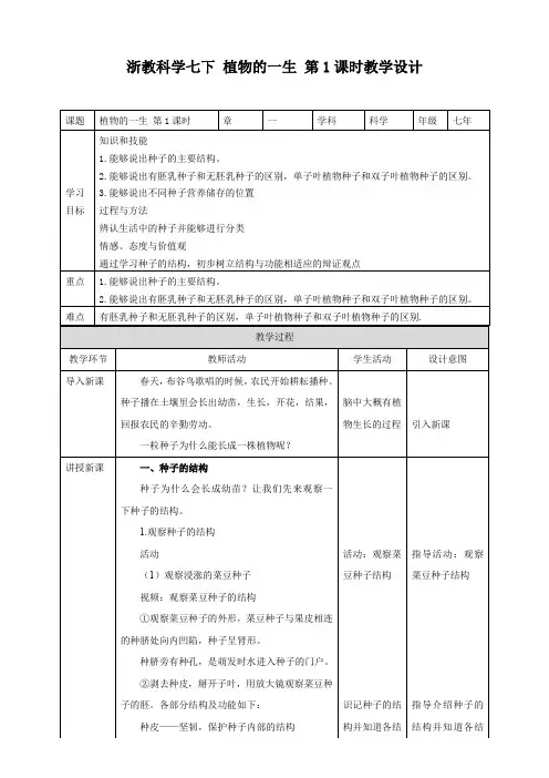 植物的一生（教案）