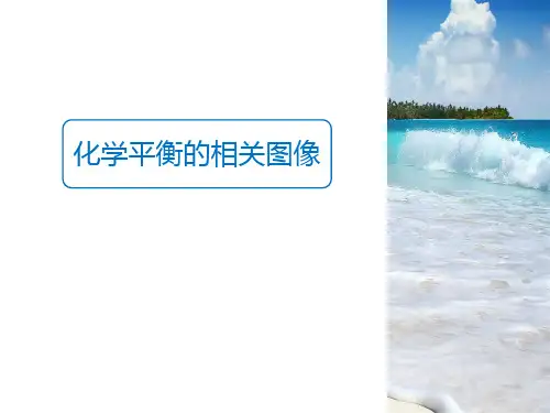 2023届高三化学一轮复习 化学平衡图像 课件