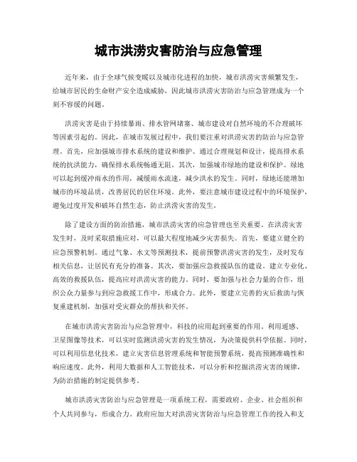 城市洪涝灾害防治与应急管理