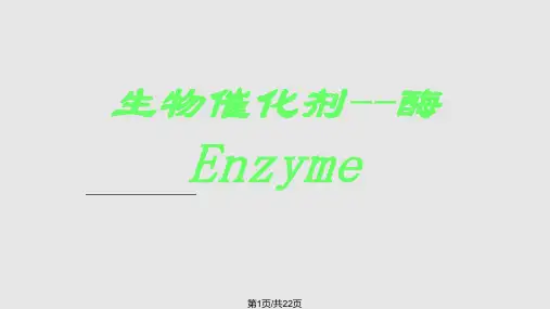 生物催化剂——酶PPT课件