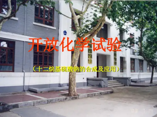 (十二烷基硫酸钠的合成及应用)