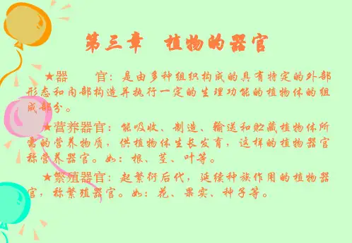 药用植物的根和茎PPT课件