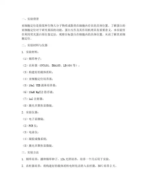 亚细胞定位的实验报告