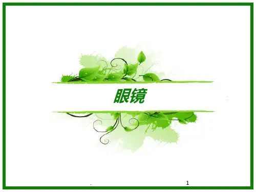 眼镜介绍PPT课件