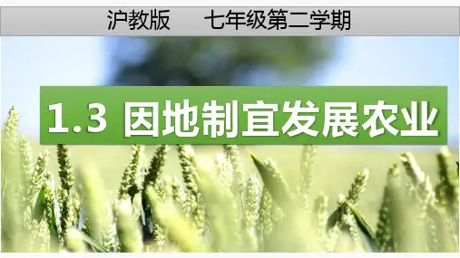 因地制宜发展农业 七年级第二学期课件(沪教版)