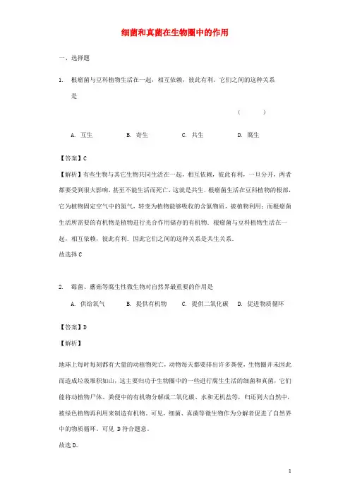 八年级生物上册 《细菌和真菌在自然界中的作用》练习新人教版