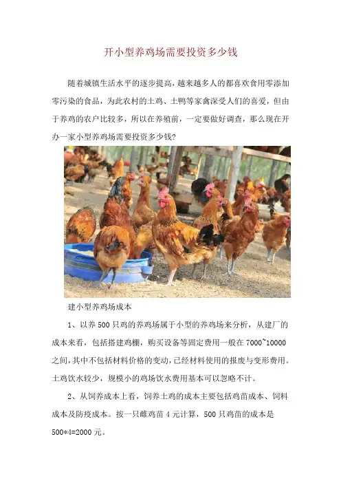 开小型养鸡场需要投资多少钱