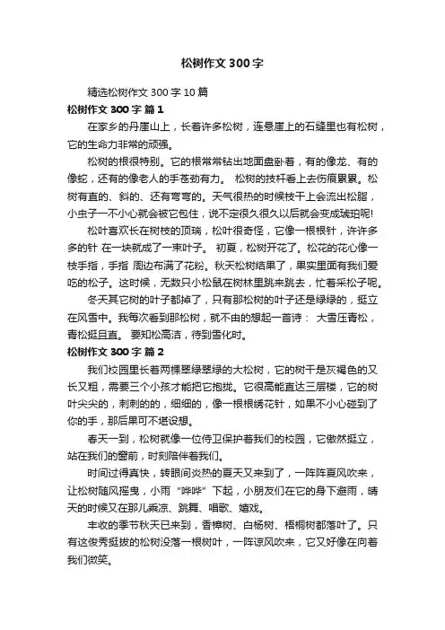 精选松树作文300字10篇