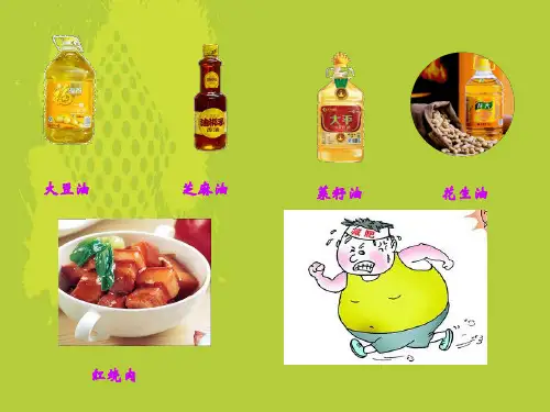 人教版高中化学选修5 第四章第一节 油脂  课件(共19张PPT)