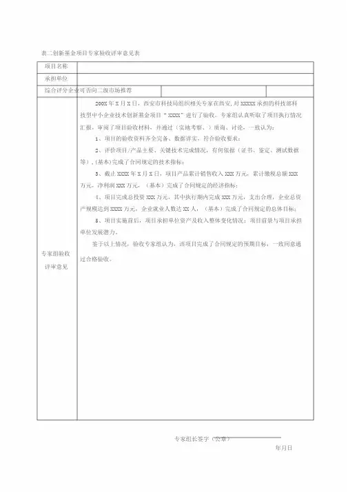专家验收评审意见表(范本)