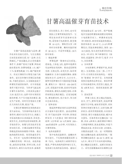 甘薯高温催芽育苗技术