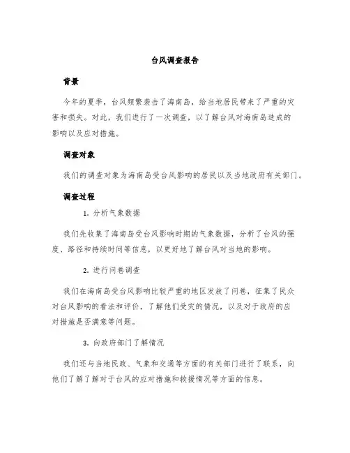 台风调查报告