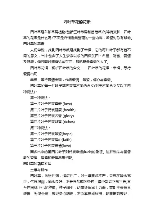 四叶草花的花语