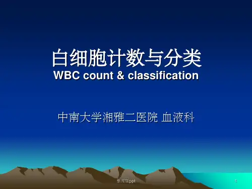白细胞计数与分类