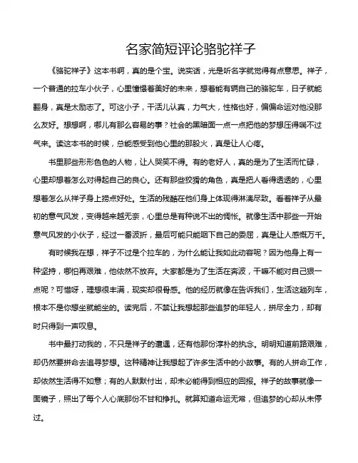 名家简短评论骆驼祥子