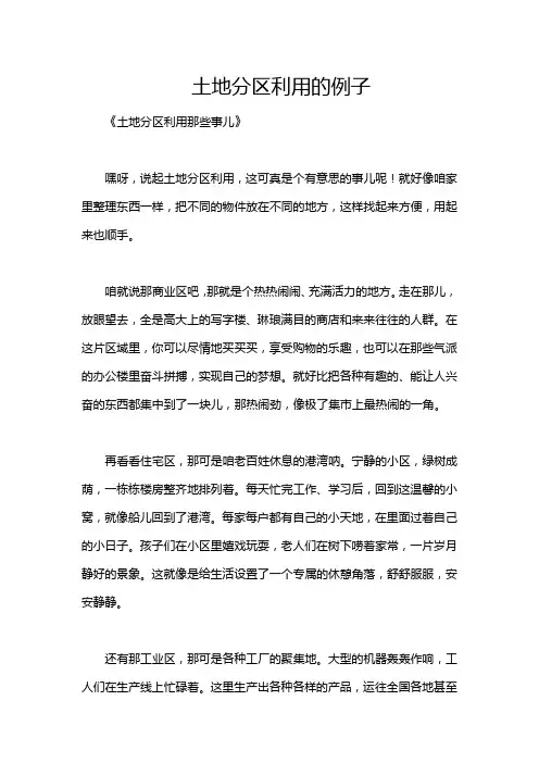 土地分区利用的例子