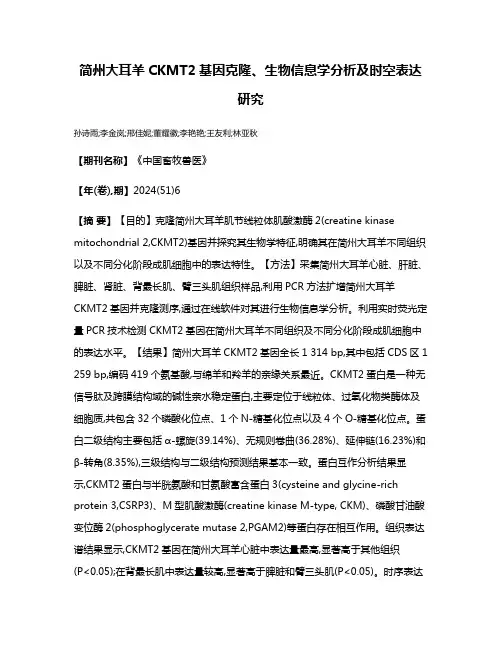 简州大耳羊CKMT2基因克隆、生物信息学分析及时空表达研究