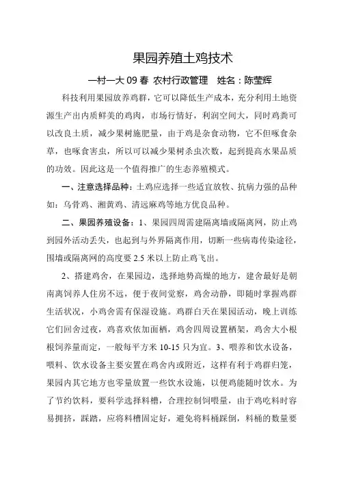 果园养殖土鸡技术
