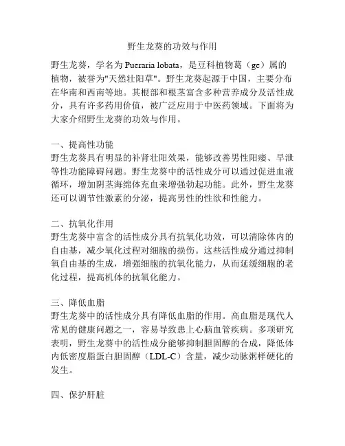 野生龙葵的功效与作用