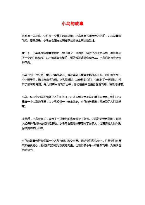 小鸟的故事