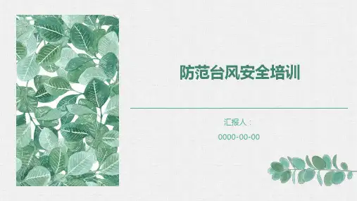 防范台风安全培训 课件(共33张PPT)