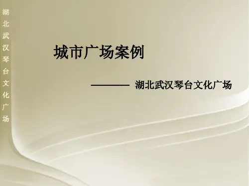 琴台广场分析案例